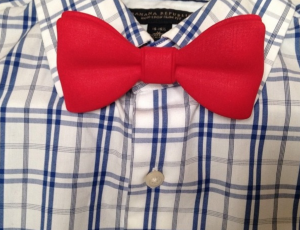 3Dbowtie