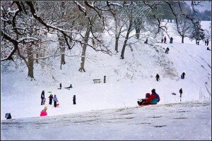 sledding