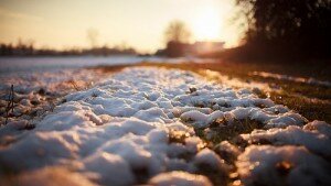 snow on grass