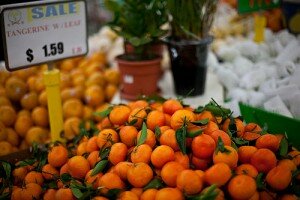 tangerines with leaves at a grocery store